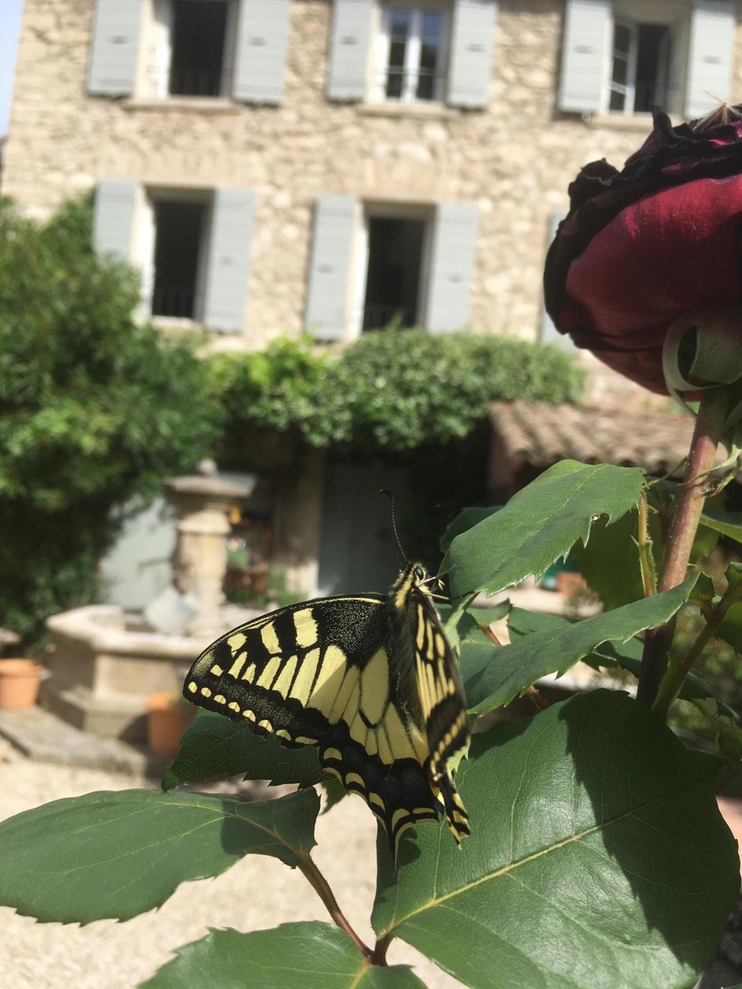 La Figuiere Fontaine De Vaucluse Bed & Breakfast Luaran gambar